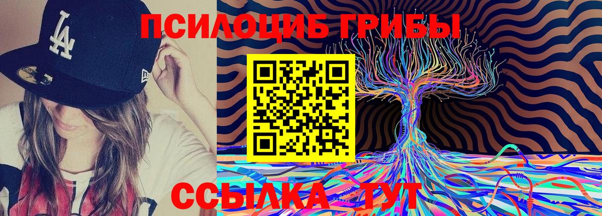 Псилоцибиновые грибы Psilocybine cubensis Волжский